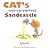 Cat's Not-So-Perfect Sandcastle (Kimochis)