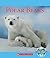 Polar Bears
