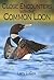 Close Encounters with the Common Loon