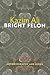 Bright Felon: Autobiography and Cities (Wesleyan Poetry Series)