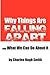 Why Things Are Falling Apart and What We Can Do About It