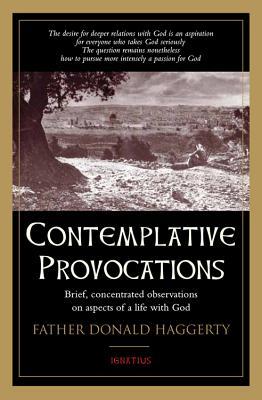 Contemplative Provocations: Brief, Concentrated Observations on Aspects of a Life with God (Paperback)