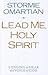 Lead Me, Holy Spirit: Longing to Hear the Voice of God
