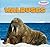 Walruses (Powerkids Readers: Sea Friends)