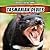Tasmanian Devils (Ferocious Fighting Animals)