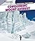 Conquering Mount Everest by Robert Sheehan