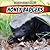Honey Badgers (Ferocious Fighting Animals)