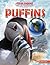 Puffins