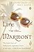Life at the Marmont: The In...