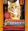 Dewey by Vicki Myron