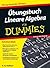 Übungsbuch Lineare Algebra für Dummies by E.-G. Haffner
