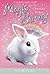 Chocolate Wishes (Magic Bunny, #1)