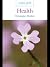 Simple Faith: Health