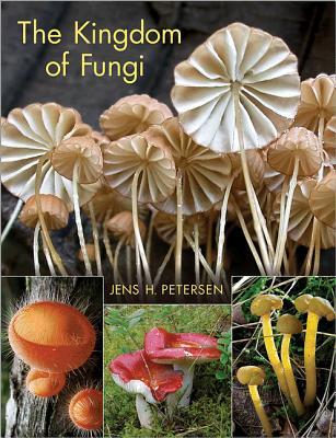 The Kingdom of Fungi (Hardcover)