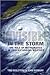 Invisible in the Storm: The Role of Mathematics in Understanding Weather