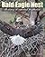 Bald Eagle Nest