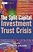 The Split Capital Investment Trust Crisis