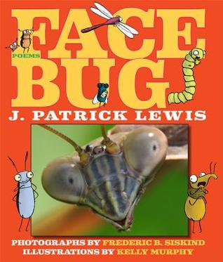 Face Bug (Hardcover)