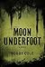 Moon Underfoot