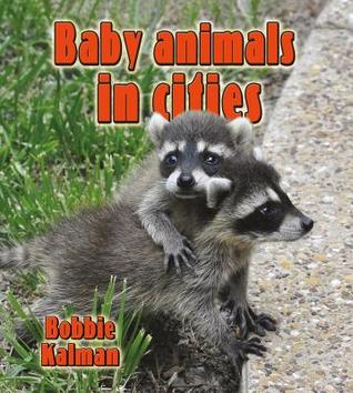 Baby Animals in Cities (Habitats of Baby Animals)
