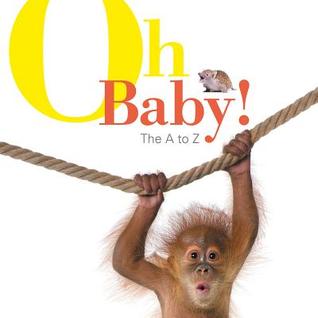 Oh Baby! A-Z Of Baby Animals