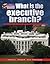 What Is the Executive Branch? (Your Guide to Government)