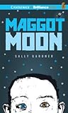 Maggot Moon by Sally Gardner