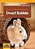 Games and House Design for Dwarf Rabbits (Games and House Design for Pets Series)
