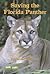 Saving the Florida Panther
