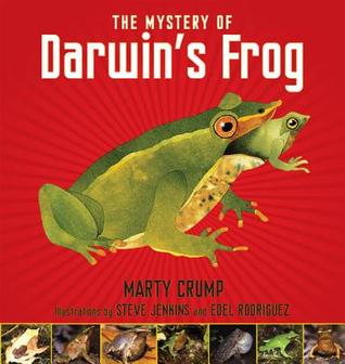 The Mystery of Darwin's Frog (Hardcover)