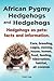 African Pygmy Hedgehogs and...
