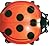 Little Ladybug