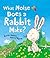 What Noise Does a Rabbit Make?