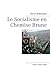 Le Socialisme en Chemise Brune (French Edition)