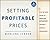 Setting Profitable Prices: A Step-By-Step Guide to Pricing Strategy Without Hiring a Consultant