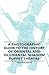 A Photographic Guide to the History of Oriental and Occidental Shadow Puppet Theatre