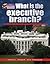 What Is the Executive Branch? (Your Guide to Government)