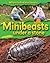 Minibeasts Under a Stone by Sarah Ridley
