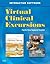 Virtual Clinical Excursions 3.0 for Principles and Practice of Psychiatric Nursing
