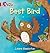 Best Bird (Collins Big Cat)