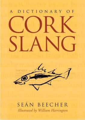 A Dictionary of Cork Slang (Paperback)