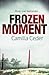 Frozen Moment: 'A good psychological crime novel that will appeal to fans of Wallander and Stieg Larsson' CHOICE