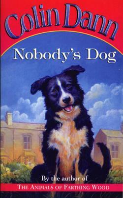 Nobody's Dog (Paperback)