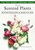 The Best Scented Plants
