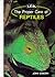 The Proper Care of Reptiles
