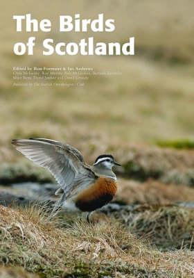 Birds of Scotland