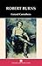 Robert Burns (Writers and Their Work)