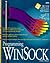 Programming Winsock/Book and Disk
