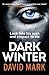Dark Winter by David  Mark