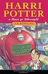 Harri Potter maen...
